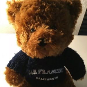 Teddy bear San Francisco sweater